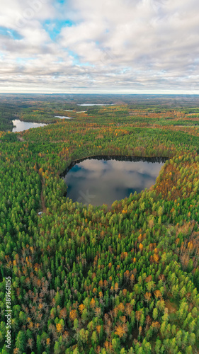 Finland landscape from the air with drone  lake and pine forest  panorama  autumn day