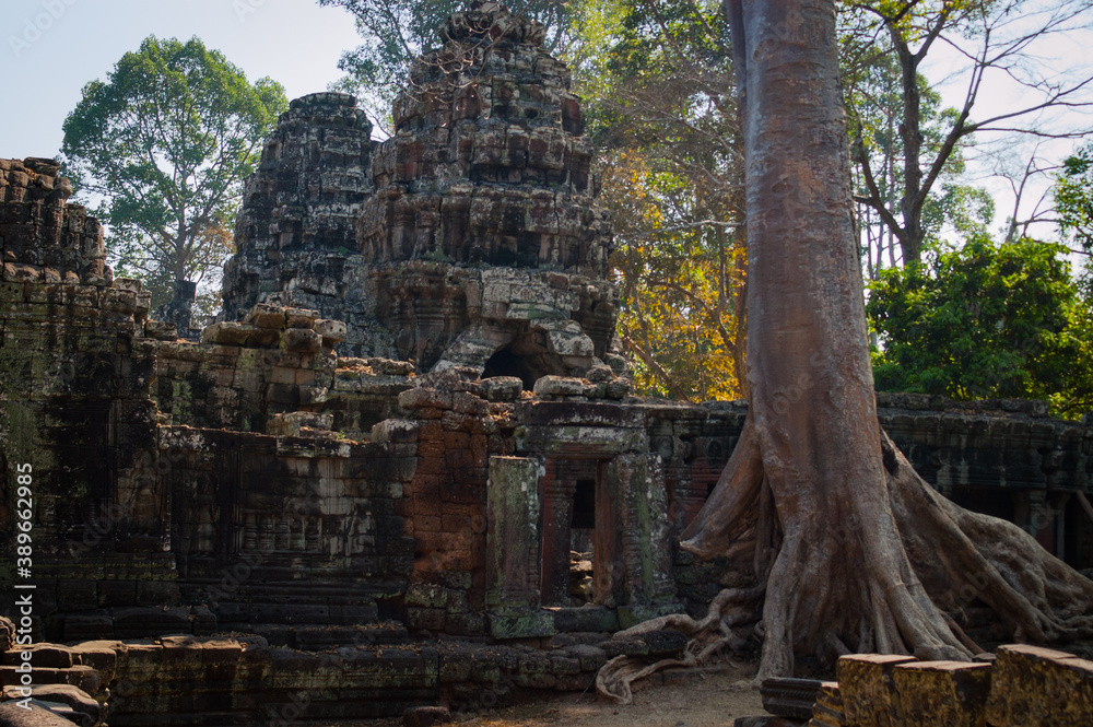 Les temples d'Angkor au Cambodge