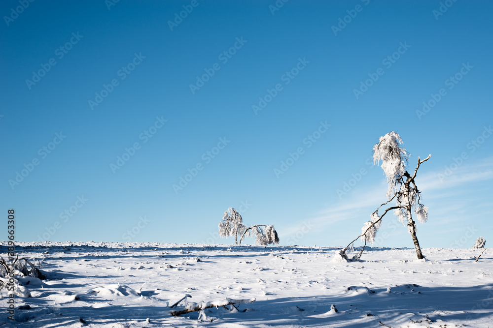 Winterliche Schneelandschaft im Weihnachtsurlaub Winterliche Schneelandschaft im Weihnachtsurlaub