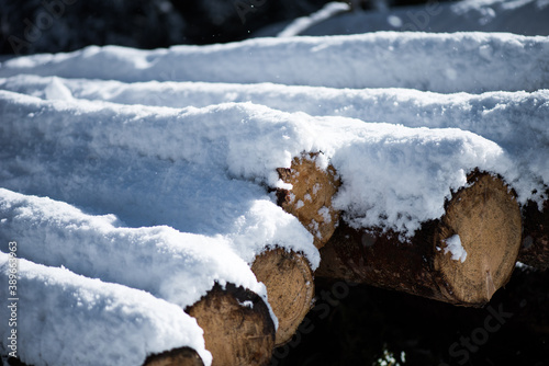 Winter and the first sight of spring