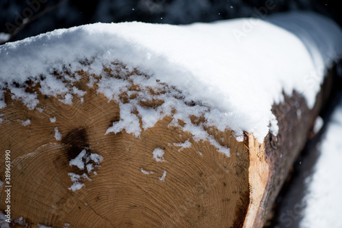 Winter and the first sight of spring