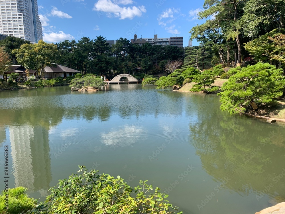 Japanese garden Japanese garden