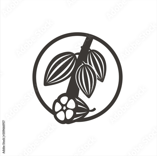 illustration of an cocoa. Vector art.
