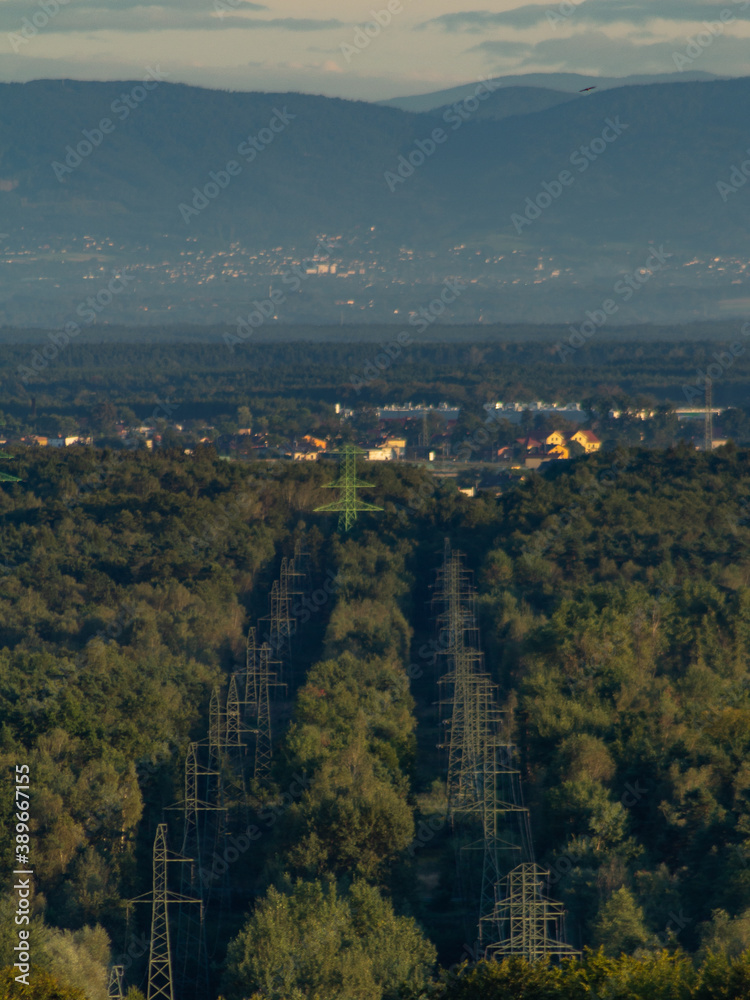 Fototapeta premium High voltage pylons in the forest