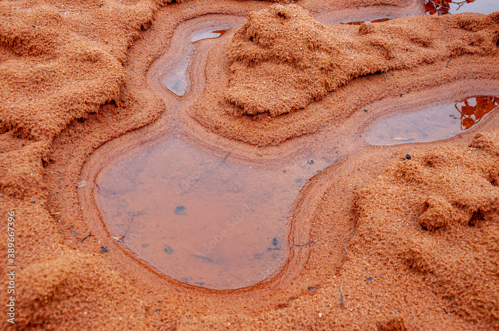 Obraz premium Dark yellow sand on the bank of river with reflections in the water of puddle. Autumn on the north, mainly cloudy