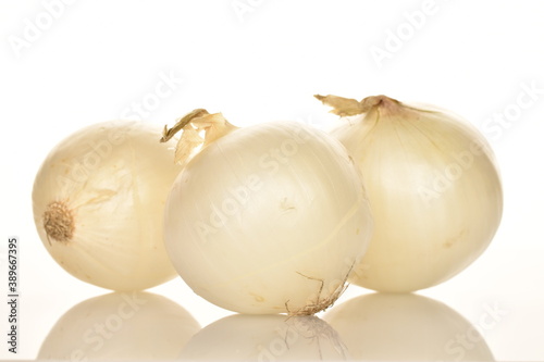 Ripe white organic onions, close-up, on a white background.