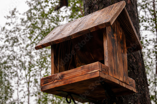 Handmade wood house for wild squirrel on the tree in the forest  © Oksana