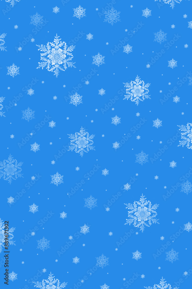 snowflakes on a blue background snowflakes on a blue background