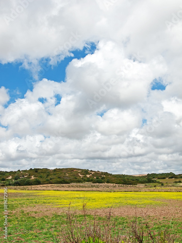 view of green rural area against clouds sky. Spain, Andalusia