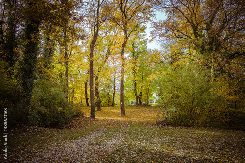 Aulandschaft