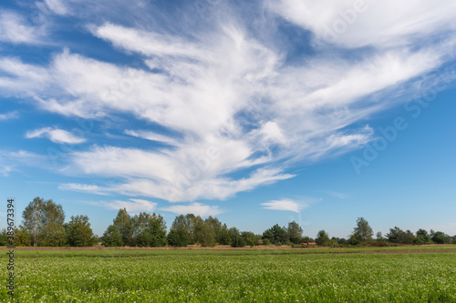 An idyllic rural landscape with beautiful cloudy sky on a summer day