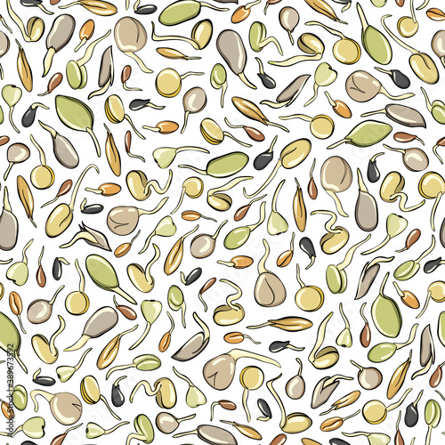 Seed growing seamless pattern - vector illustration. Background. Microgreens in sketch and freehand style. Soybean sprouts, mash Healthy and wholesome vegan food for restaurants, cafes and kitchens.