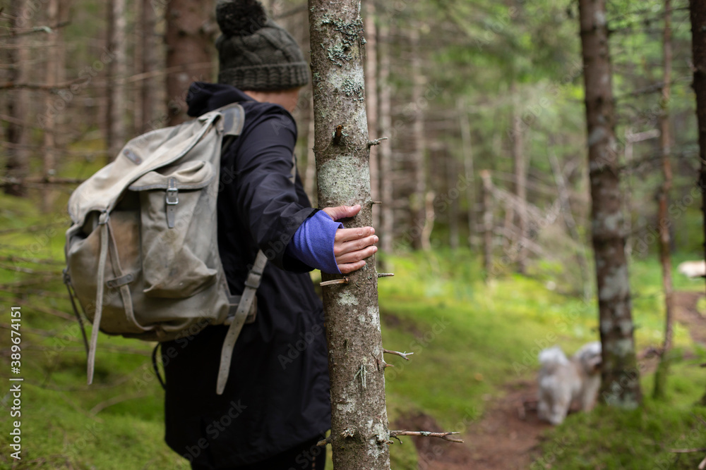 A hiker holding onto a tree for stability on a path in the woods A hiker holding onto a tree for stability on a path in the woods