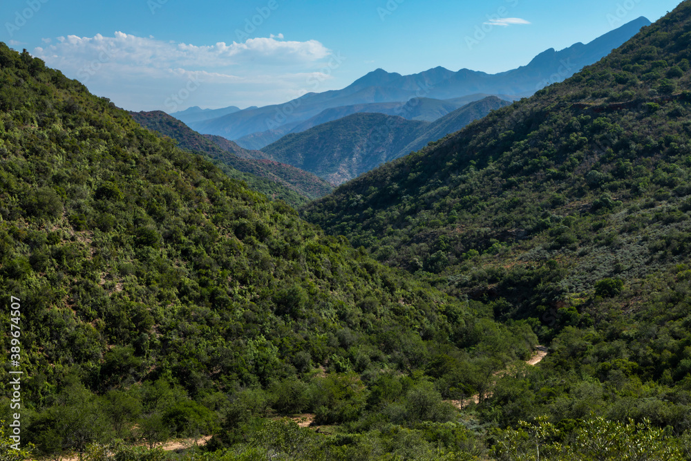 Green valley and blue mountains in Baviaanskloof