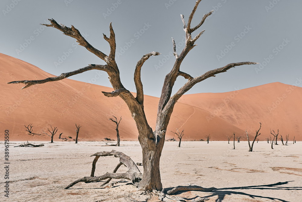 Beautiful landscape view in Namibia, Africa Beautiful landscape view in Namibia, Africa