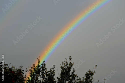 The rainbow is big and bright in the morning in autumn after the rain over the village.