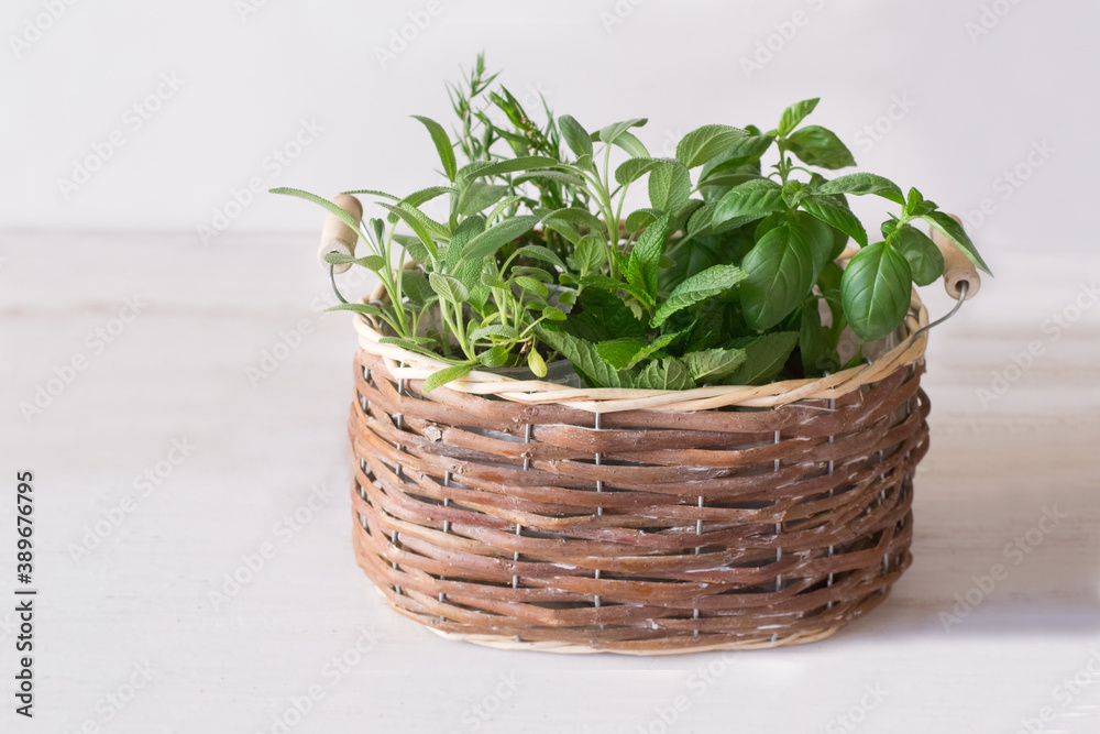 Herbs in basket Herbs in basket
