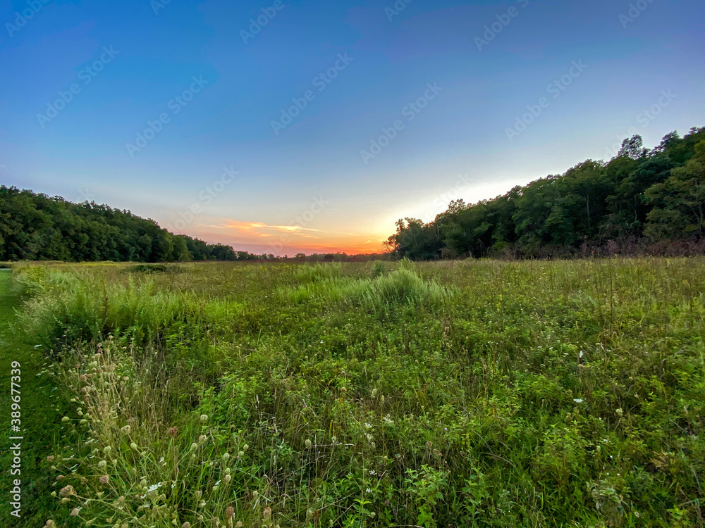 Fototapeta premium Wide Angle Sunset
