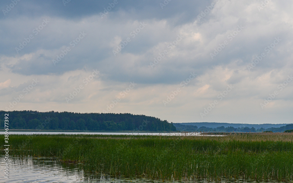 scenic view of Suja Lake in Polatsk region, Belarus