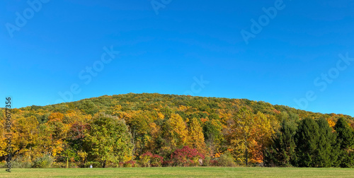 Fall Trees Landscape