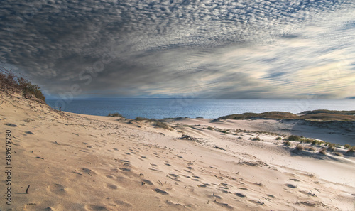 Sandy dunes during midday. Curonian Spit  Lithuania.