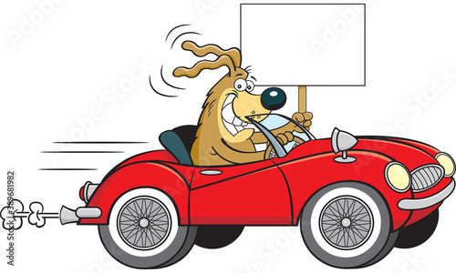 Cartoon illustration of a dog driving a convertible sports car with wire wheels while holding a sign.