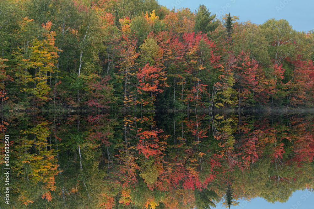 Autumn landscape of the shoreline of Thornton Lake with mirrored reflections in calm water, Hiawatha National Forest, Michigan’s Upper Peninsula, USA