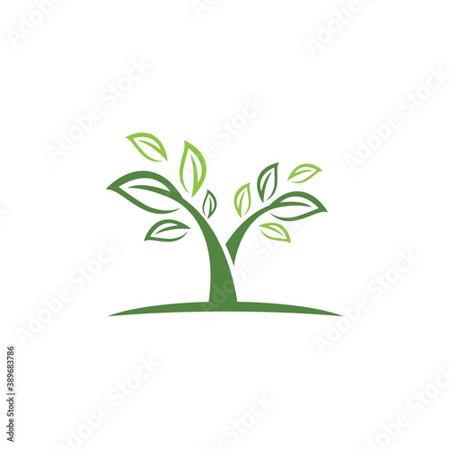 Leaf  ecology Logo Template vector