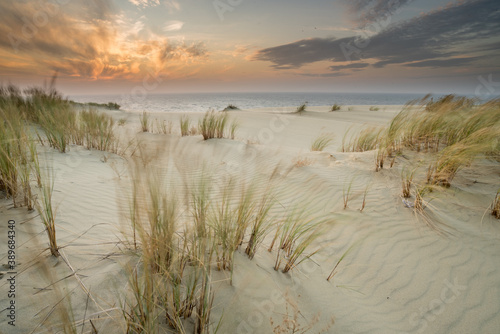 Fototapeta Naklejka Na Ścianę i Meble -  Sand dunes in Kaliningrad. Natural background. Sunrise.