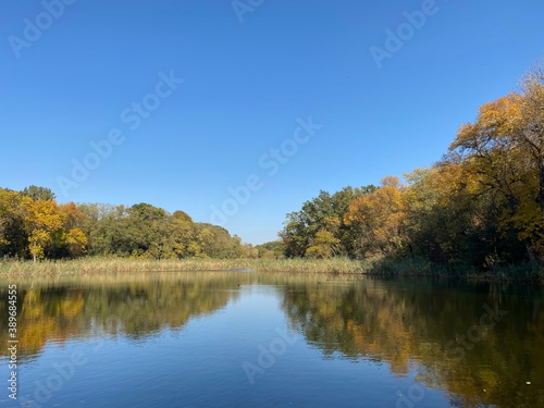 autumn trees on the river