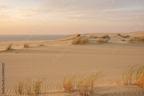 Sand dunes in Kaliningrad. Natural background. Sunrise.
