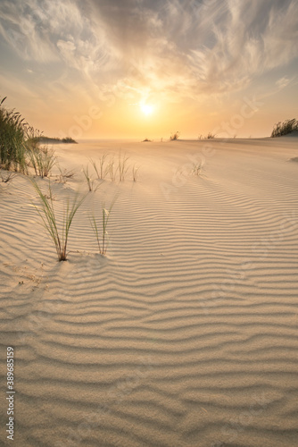 Fototapeta Naklejka Na Ścianę i Meble -  Sand dunes in Kaliningrad. Natural background. Sunrise.