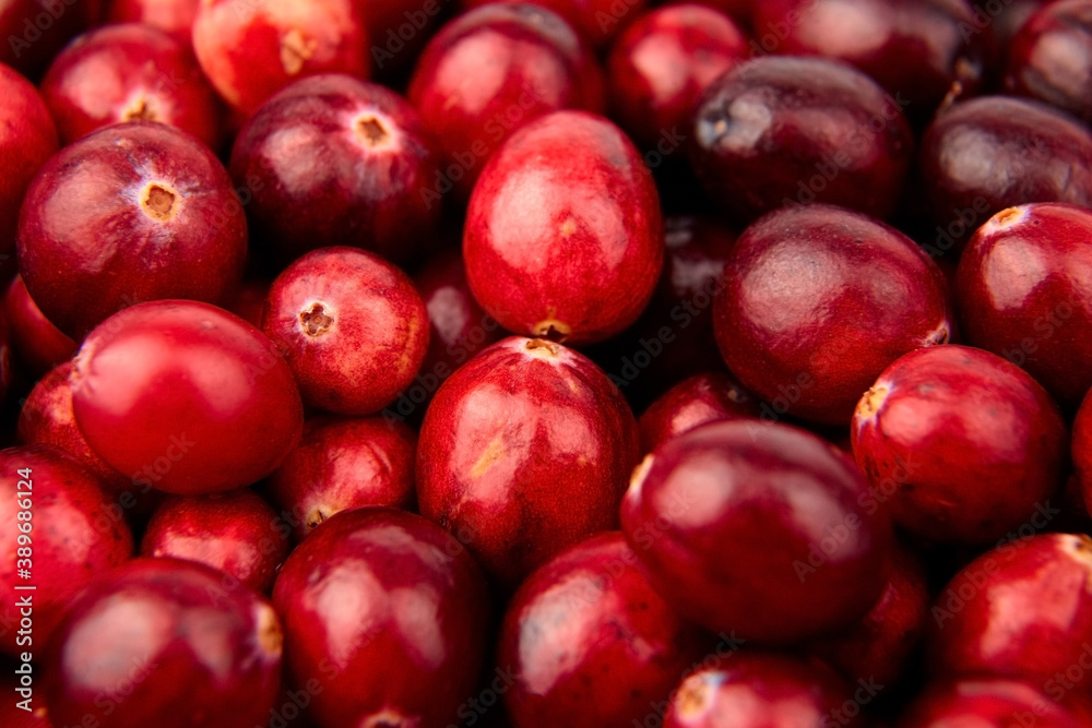 Cranberries, fresh red berries food background Cranberries, fresh red berries food background