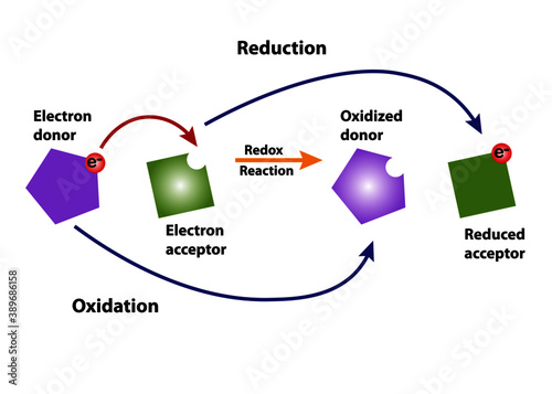 Redox-reaction in reduction and oxidation showing loss and gain of electron.  photo