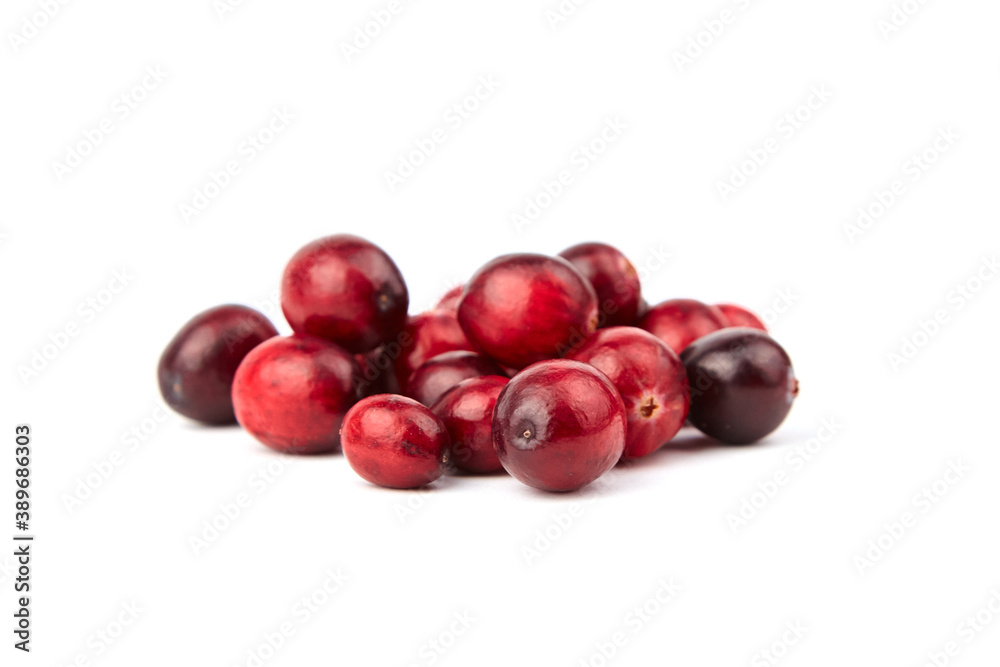 Fresh cranberries isolated on white background