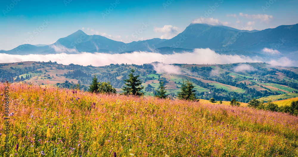 Two highest mountains in Carpathians - Hoverla and Petros in the morning mist. Sunny summer scene of mountain valley, Yasinya location, Ukraine, Europe. Beauty of nature concept background.