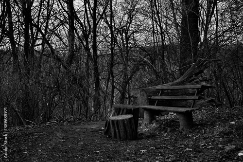 Bench in a spring park in the Moscow region.
