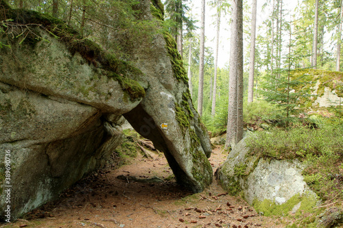The rocks in deep woods of   umava national park in Czech Republic. This is a part of the Bear trail   Medv  d   stezka  