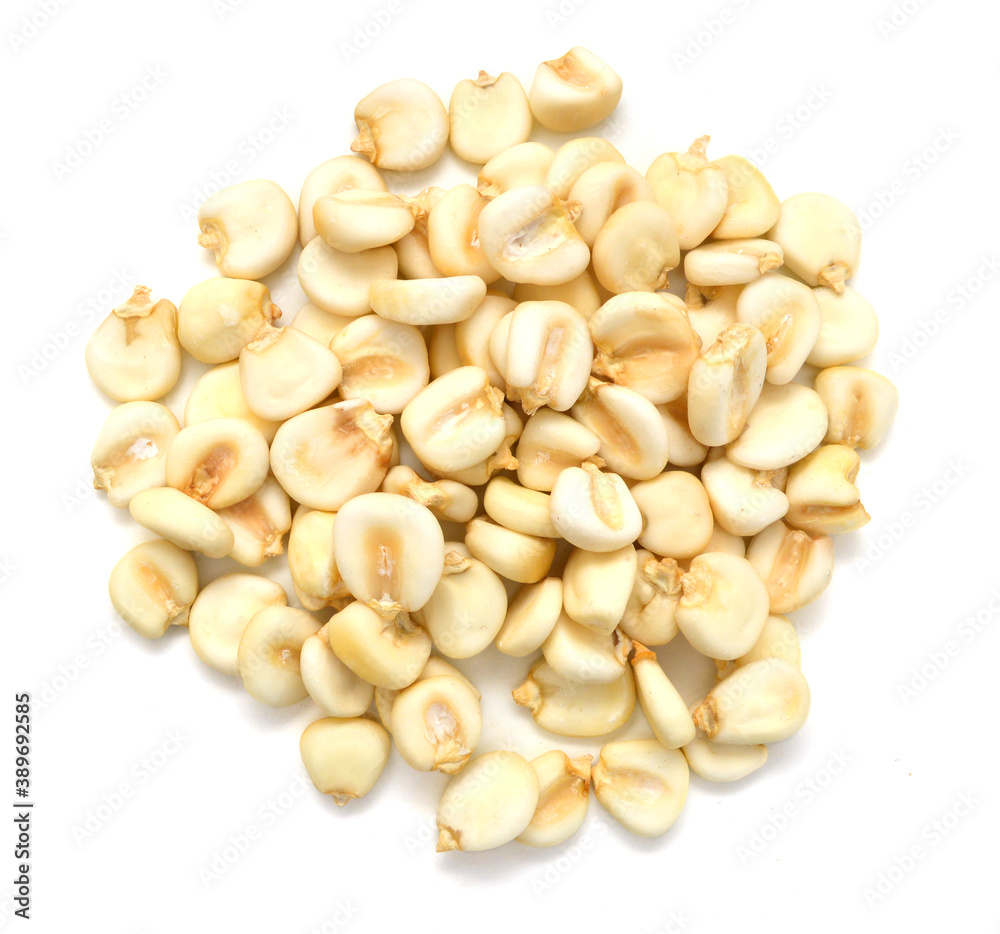 Giant corn  on white