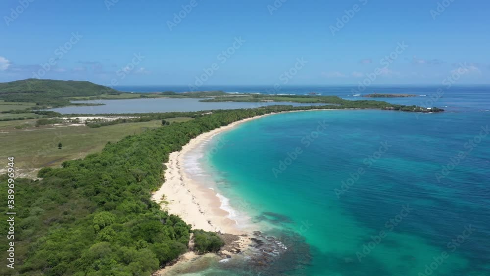 Grande Anse des Salines Martinique large aerial view sunny day coastal forest caribbean island Grande Anse des Salines Martinique large aerial view sunny day coastal forest caribbean island