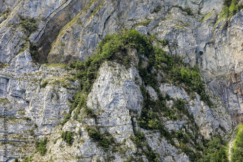 Surface of rocks of Swiss Alps © marek_usz