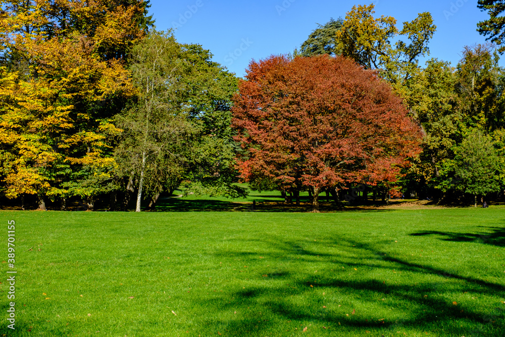 Naklejka premium Paesaggio autunnale