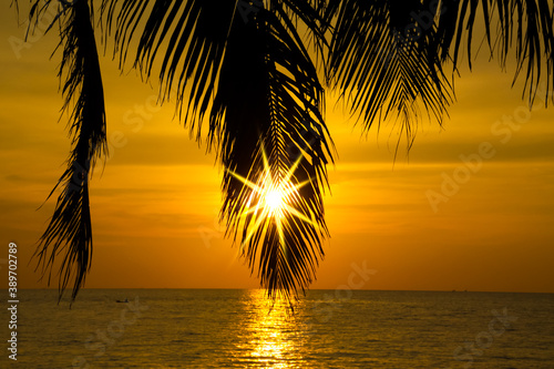 Sunset over the ocean horizon with silhouette of palm tree leaf  vibrant yellow golden colors  Thailand  Ko Lanta