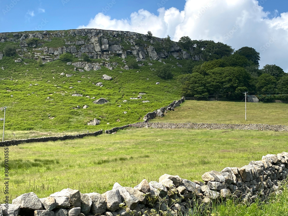 View over a dry stone wall, from Barden road, with sloping fields, trees and rocks, on the horizon near, Barden, Skipton, UK