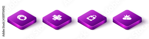 Set Isometric Herbal ecstasy tablets, Medical marijuana or cannabis leaf, Shopping paper bag of and pills with icon. Vector.