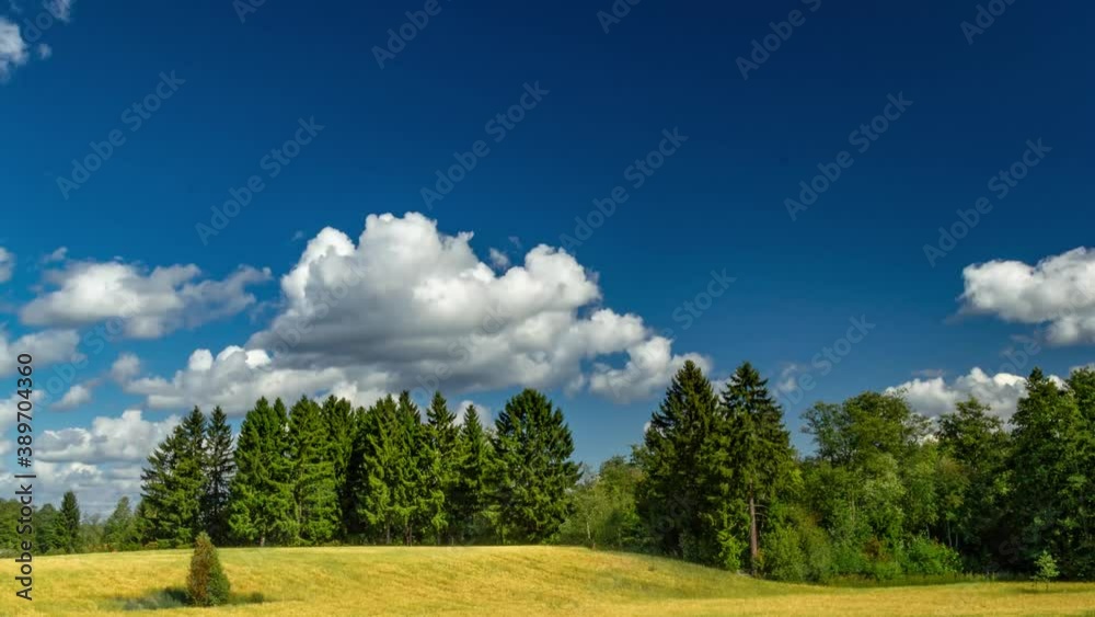 Fast moving partly cloudy weather sunny bright colorful blue sky with green forest and yellow meadow time lapse Fast moving partly cloudy weather sunny bright colorful blue sky with green forest and yellow meadow time lapse