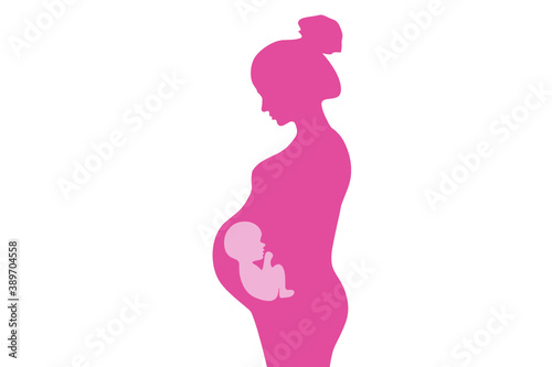 Silhouette of a beautiful pregnant woman with the unborn fetus in the womb. Pregnancy concept line art. Vector