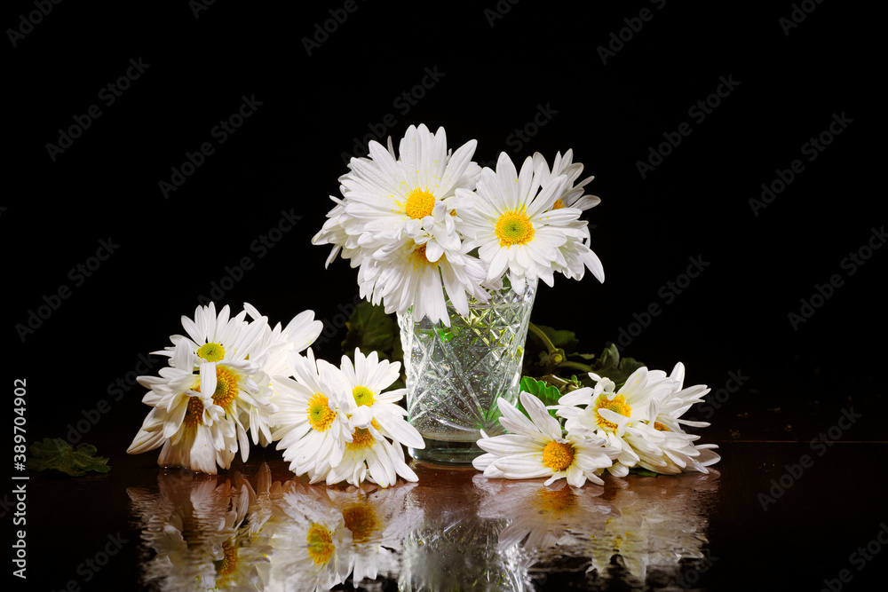 White chrysanthemum flowers composition on a table. Freeze light