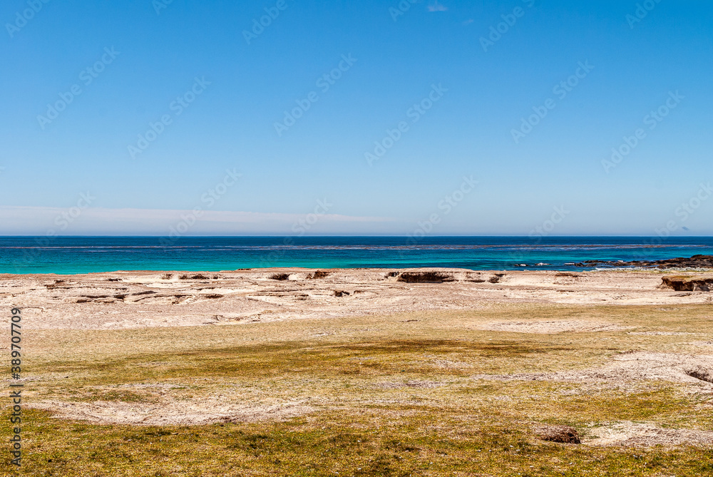 Volunteer Beach, Falkland Islands, UK - December 15, 2008: Wide landscape of upper part with dry grass in front, sandy part, and azure ocean up front changing into dark blue under blue sky.