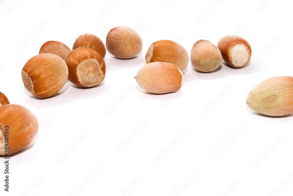 Hazelnuts on a white background. Macro view of whole ripe hazelnuts isolated on white background. Hazelnuts on a white background. Macro view of whole ripe hazelnuts isolated on white background.